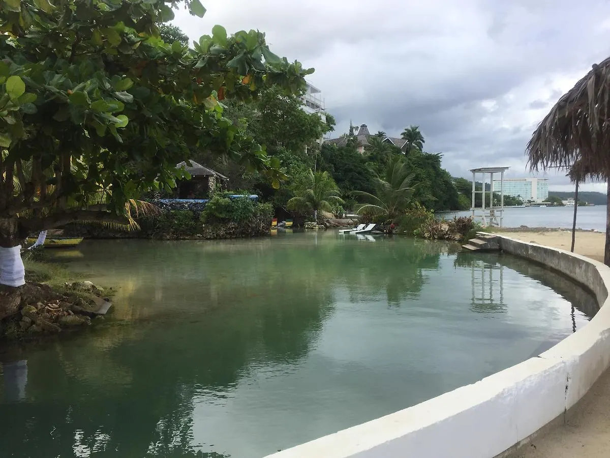 Carib Ocho Rios Fedlyn公寓 公寓