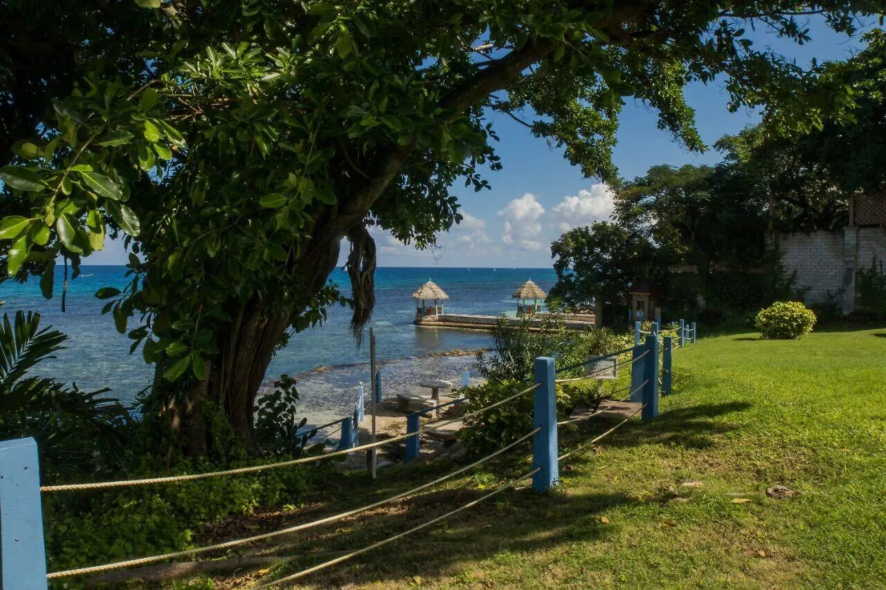Carib Ocho Rios Fedlyn公寓